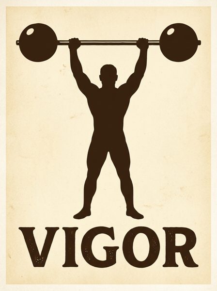 Diseño G30 del Pack Gym Deco